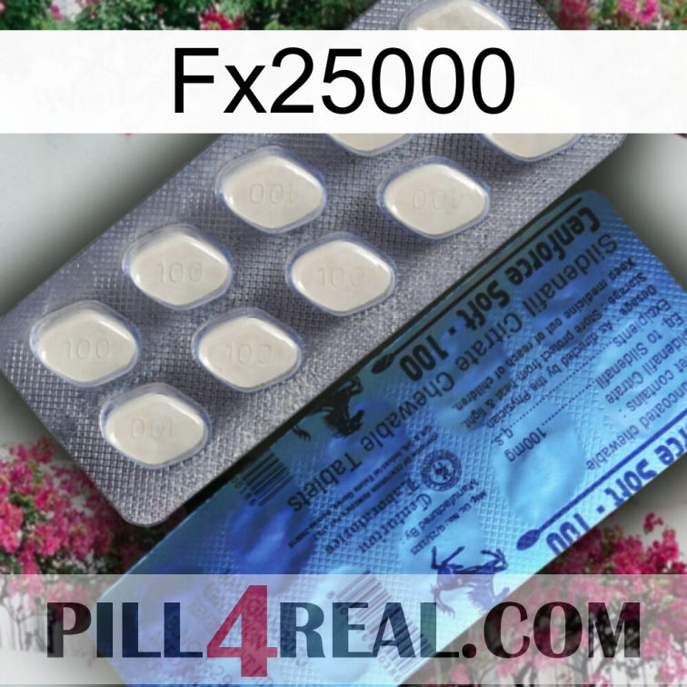 Fx25000 34